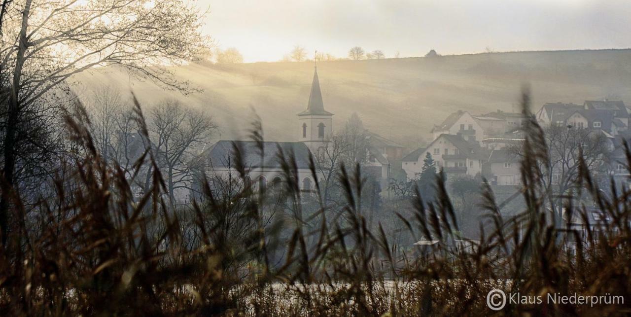 Ferienwohnung Welcome Mit Seeblick Schalkenmehren Eksteriør billede