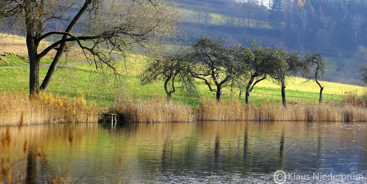 Ferienwohnung Welcome Mit Seeblick Schalkenmehren Eksteriør billede